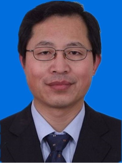 何新林