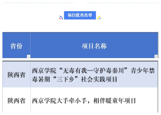 “大手牵小手，相伴暖童年”获2024大学生社会实践成果“千校千项”网络展示活动优秀项目